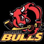 Belleville Bulls