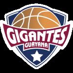 Gigantes de Guayana