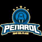 pPearol Mar del Plata live score (and video online live stream), schedule and results from all basketball tournaments that Pearol Mar del Plata played. We’re still waiting for Pearol Mar del Pla