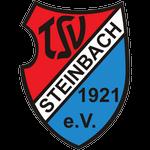 pTSV Steinbach Haiger live score (and video online live stream), team roster with season schedule and results. TSV Steinbach Haiger is playing next match on 27 Mar 2021 against TSG Balingen in Regi