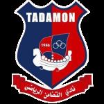 Al-Tadamon Sour