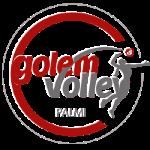 Golem Software Palmi