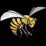 pAlabama State Hornets live score (and video online live stream), schedule and results from all basketball tournaments that Alabama State Hornets played. We’re still waiting for Alabama State Horne
