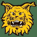 pFC Ilves live score (and video online live stream), team roster with season schedule and results. FC Ilves is playing next match on 14 Jun 2021 against SJK Seinjoki in Veikkausliiga./ppWhen t