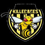 Skanderborg Killerbees