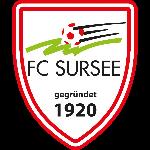 pFC Sursee live score (and video online live stream), team roster with season schedule and results. We’re still waiting for FC Sursee opponent in next match. It will be shown here as soon as the of