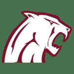 Concord Mountain Lions