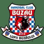 pHC Buzu live score (and video online live stream), schedule and results from all Handball tournaments that HC Buzu played. HC Buzu is playing next match on 7 Apr 2021 against CSM Fgra in Lig