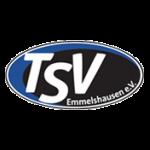 pTSV Emmelshausen live score (and video online live stream), team roster with season schedule and results. We’re still waiting for TSV Emmelshausen opponent in next match. It will be shown here as 