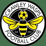 Crawley Wasps Lfc