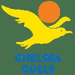 Chelsea Gulls