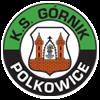 pKS Górnik Polkowice live score (and video online live stream), team roster with season schedule and results. KS Górnik Polkowice is playing next match on 27 Mar 2021 against Lech Poznań II in II L