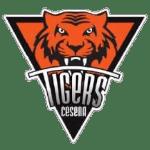 pTigers Cesena live score (and video online live stream), schedule and results from all basketball tournaments that Tigers Cesena played. Tigers Cesena is playing next match on 24 Mar 2021 against 
