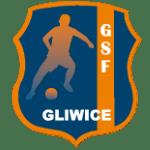 GSF Gliwice