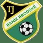 TJ Baník Brodské