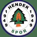 Hendek Spor