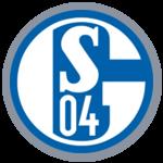 FC Schalke 04 Evolution
