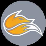 Echo Fox Academy