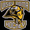 pVisby/Roma HK live score (and video online live stream), schedule and results from all ice-hockey tournaments that Visby/Roma HK played. We’re still waiting for Visby/Roma HK opponent in next matc