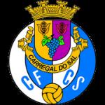 CF Carregal Sal