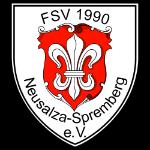 FSV 1990 Neusalze-Spremberg