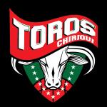 Toros de Chiriquí