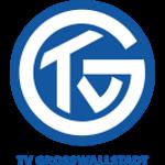 pTV Grosswallstadt live score (and video online live stream), schedule and results from all Handball tournaments that TV Grosswallstadt played. TV Grosswallstadt is playing next match on 28 Mar 202