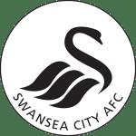 Swansea City Ladies AFC