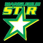 Manglerud Star 2