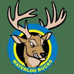 Waterloo Bucks