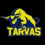 pRakvere Tarvas BC live score (and video online live stream), schedule and results from all basketball tournaments that Rakvere Tarvas BC played. We’re still waiting for Rakvere Tarvas BC opponent 