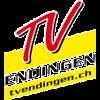 pTV Endingen Handball live score (and video online live stream), schedule and results from all Handball tournaments that TV Endingen Handball played. TV Endingen Handball is playing next match on 2