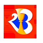 FIBA World Cup Qualification, Americas